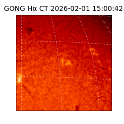 gong - 2026-02-01T15:00:42