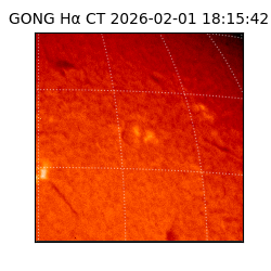gong - 2026-02-01T18:15:42