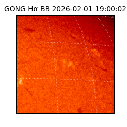 gong - 2026-02-01T19:00:02