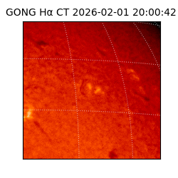 gong - 2026-02-01T20:00:42