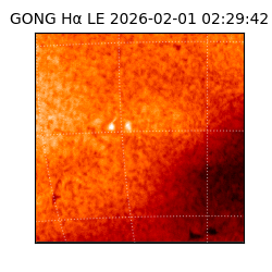 gong - 2026-02-01T02:29:42
