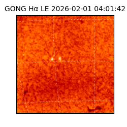 gong - 2026-02-01T04:01:42