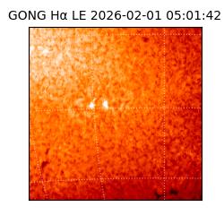 gong - 2026-02-01T05:01:42