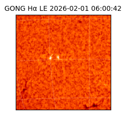 gong - 2026-02-01T06:00:42