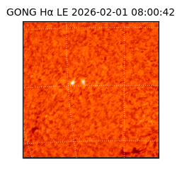 gong - 2026-02-01T08:00:42