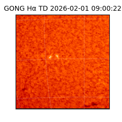 gong - 2026-02-01T09:00:22