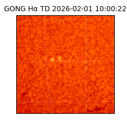 gong - 2026-02-01T10:00:22