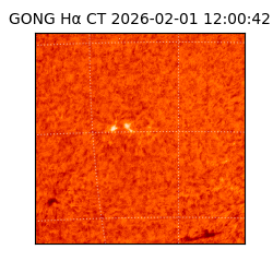 gong - 2026-02-01T12:00:42