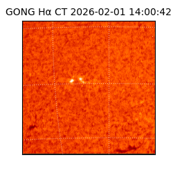 gong - 2026-02-01T14:00:42