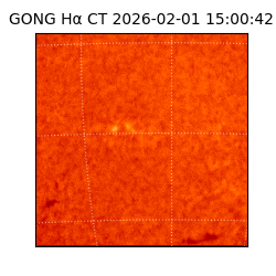 gong - 2026-02-01T15:00:42