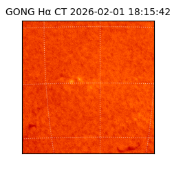 gong - 2026-02-01T18:15:42