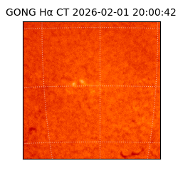 gong - 2026-02-01T20:00:42