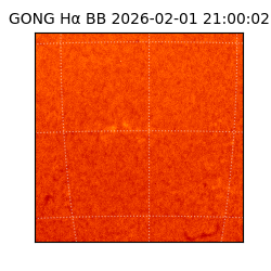gong - 2026-02-01T21:00:02