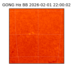 gong - 2026-02-01T22:00:02