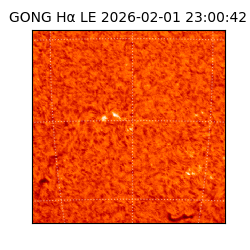 gong - 2026-02-01T23:00:42