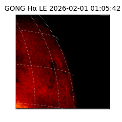 gong - 2026-02-01T01:05:42
