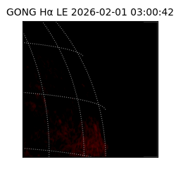 gong - 2026-02-01T03:00:42