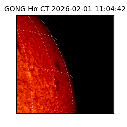 gong - 2026-02-01T11:04:42
