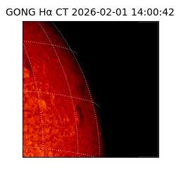 gong - 2026-02-01T14:00:42