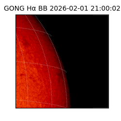 gong - 2026-02-01T21:00:02