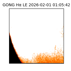 gong - 2026-02-01T01:05:42