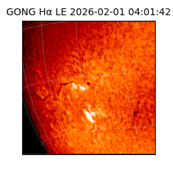 gong - 2026-02-01T04:01:42