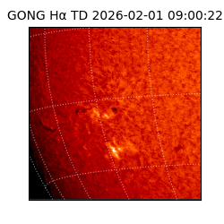 gong - 2026-02-01T09:00:22