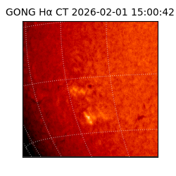 gong - 2026-02-01T15:00:42