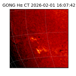 gong - 2026-02-01T16:07:42