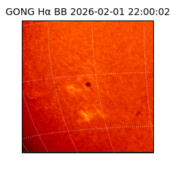 gong - 2026-02-01T22:00:02