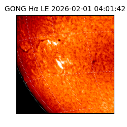 gong - 2026-02-01T04:01:42