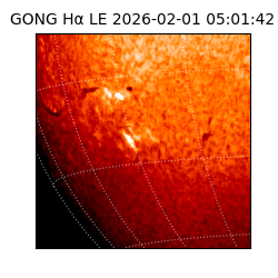 gong - 2026-02-01T05:01:42