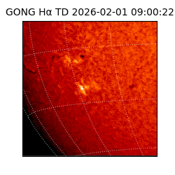 gong - 2026-02-01T09:00:22