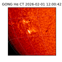 gong - 2026-02-01T12:00:42