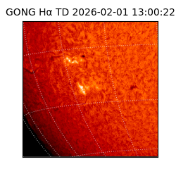 gong - 2026-02-01T13:00:22