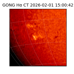 gong - 2026-02-01T15:00:42