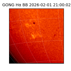 gong - 2026-02-01T21:00:02