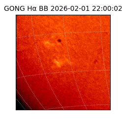 gong - 2026-02-01T22:00:02