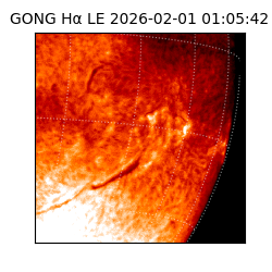 gong - 2026-02-01T01:05:42