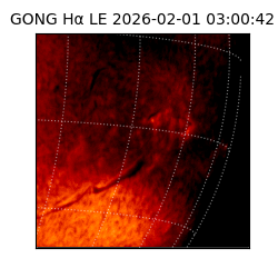 gong - 2026-02-01T03:00:42
