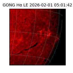 gong - 2026-02-01T05:01:42