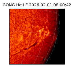 gong - 2026-02-01T08:00:42