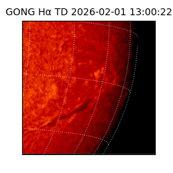 gong - 2026-02-01T13:00:22