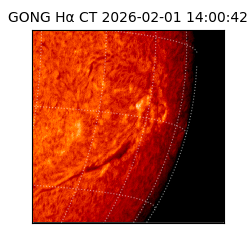 gong - 2026-02-01T14:00:42