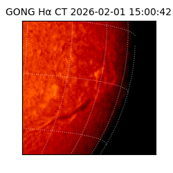 gong - 2026-02-01T15:00:42