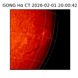 gong - 2026-02-01T20:00:42
