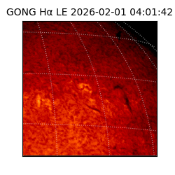 gong - 2026-02-01T04:01:42