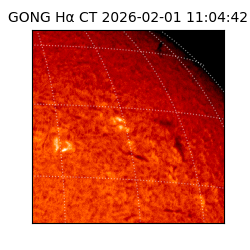 gong - 2026-02-01T11:04:42