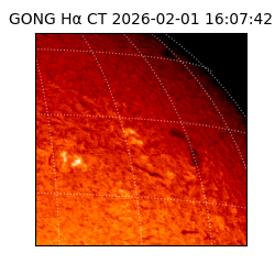 gong - 2026-02-01T16:07:42