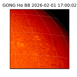 gong - 2026-02-01T17:00:02